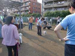 犬のしつけ無料セミナー